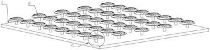 在卫生用品行业的最新动态中，生活用纸的出口量在2025年上半年较2024年同期增长了19.06%，但出口金额却下降了1.77%，显示出量增价跌的趋势。成品仍然是出口的主要产品，占总出口量的69.41%。此外，金佰利在拉丁美洲推出了新的Kotex超长夜用卫生巾，具备多项功能性特点。德国TWE公司在印度博帕尔建设新生产基地，计划扩展卫生产品生产线，重点发展成人、婴儿及女性护理市场。韩国的卫生巾品牌口碑排行榜中，Secret Day排名第一。山东市场新增了一条全伺服成人裤型纸尿裤生产线，提升了生产稳定性。护舒宝在上海发布了液体卫生巾Pro健康专研版，并启动了