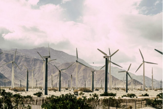 3月17日储能行业海内外情报显示，中国海博思创在中东欧市场取得历史性突破，签约保加利亚两个100MWh储能项目，标志着其进入百兆瓦时级项目新阶段。希腊晶科储能助力雅典国际机场打造全球最大机场自发自用“光储一体化”项目，提供123.8MWh公用级液冷储能系统。荷兰禾迈与NextEnergy、VDH Solar签署战略合作，加速荷兰能源变革。德国莱茵集团在美国新增2GW可再生能源设施，包含450MW/1020MWh储能系统。澳大利亚爱旭推出545瓦背接触太阳能组件，效率达25%。中国户用储能行业爆发式增长，头部企业订单激增、产能紧张。英国推行“插电式太阳能”技术，山东发布分布式光伏、储能“免过网费”新政。澳大利亚西澳州推出1.53亿澳元清洁能源贷款支持制造业。国内首条百兆瓦级液流电池产线投产，储能价格显著回升，招投标市场电芯价格升至0.35元/Wh关口。