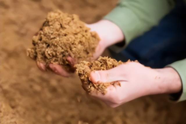 本文汇总了印刷包装行业的海内外最新情报，涵盖企业资讯、行业动态、上游动态及前沿技术等多个领域。Amcor为爱尔兰香氛公司提供护发产品包装解决方案，采用轻量化耐用材料；TOPPAN成为日本首家使用水性柔版印刷和非溶剂复合技术的企业，推出环保型食品包装；Smurfit Westrock因成本问题关闭加拿大魁北克的造纸厂。此外，Live Puri用纤维基瓶盖替代金属瓶盖以降低碳足迹，Emerald Ecovations推进甘蔗渣在食品和制药领域的应用。Bobst优化中大型标准箱体生产，提升效率并助力环保。同时，合肥市裕同印刷包装有限公司公开了一种包装盒内衬连接结构，提升了取放灵活性；深圳市裕同包装科技股份有限公司则推出可折叠式心型包装盒，增强包装设计的实用性与美观性。  
